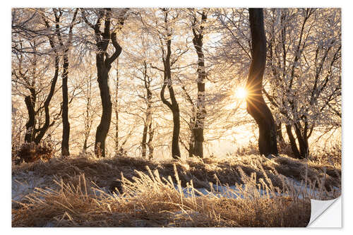 Vinilo para la pared Snowy Winter Forest