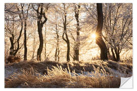 Wandsticker Verschneiter Winterwald