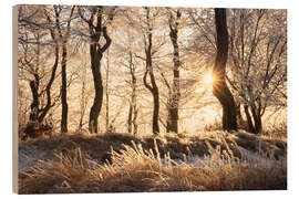 Holzbild Verschneiter Winterwald