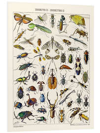 Obraz na PCV Insects II, 1923