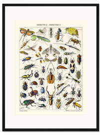 Gerahmter Kunstdruck Insekten II, 1923