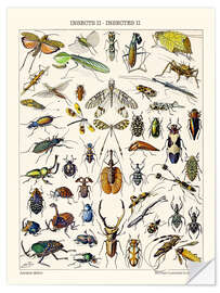 Naklejka na ścianę Insects II, 1923