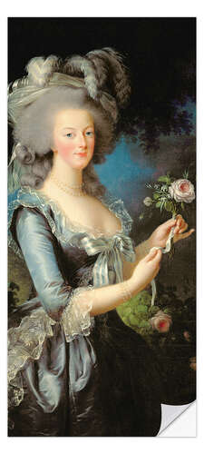 Dørtapet Marie-Antoinette with the Rose