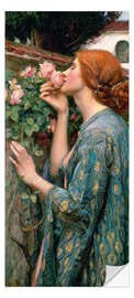 Adesivo de porta  A alma da rosa ou Minha doce rosa - John William Waterhouse