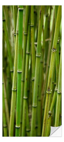 Door sticker Green Bamboo