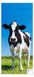 Door sticker Cow - Black and White