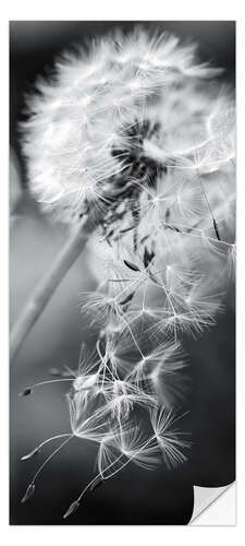 Ovitapetti Dandelion in the Wind
