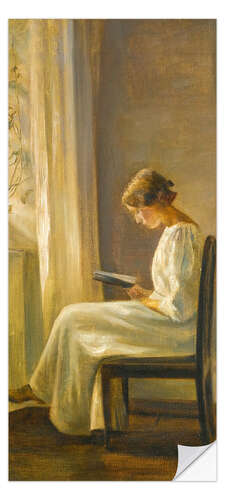Ovitapetti Woman reading