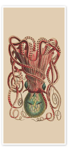 Door poster Octopus Vulgaris