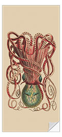 Door sticker Octopus Vulgaris - Frederick Polydor Nodder