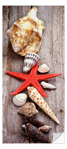 Deursticker Shells on a Wooden Board