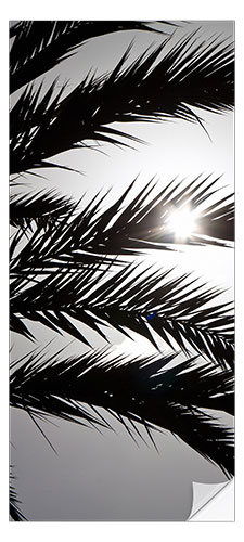 Door sticker Sun behind palm trees