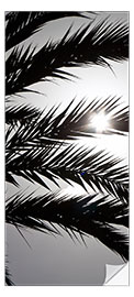 Door sticker Sun behind palm trees