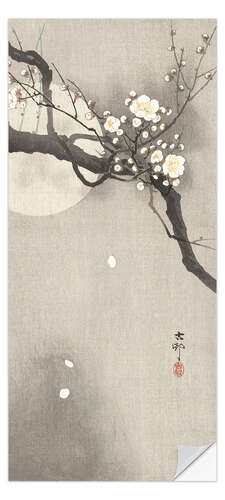 Ovitapetti Plum Blossoms at Night