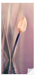 Deursticker  Allium - Atteloi
