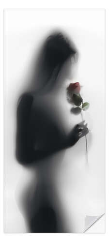 Dørtapet Silhouette with rose