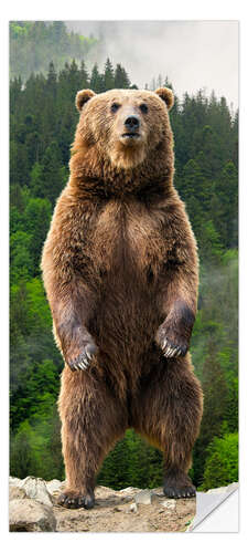 Dørtapet Big Brown Bear