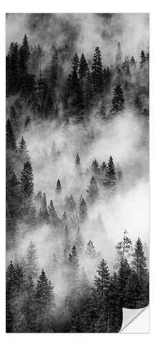Dørtapet Mist over the pine forest