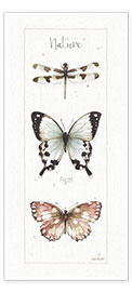 Türposter Schmetterlinge und Libelle XIII