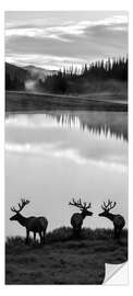 Deursticker Rocky Mountains National Park - Jaynes Gallery