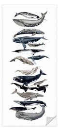Door sticker Wonderful Whales - Naomi McCavitt