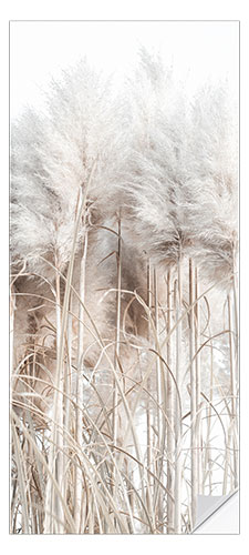 Ovitapetti Pampas Grass I