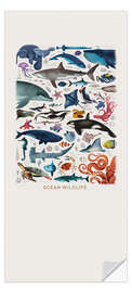 Deursticker Ocean Wildlife (english) - Dieter Braun
