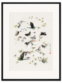 Gerahmter Kunstdruck Schmetterlinge &amp; Falter, Detail II