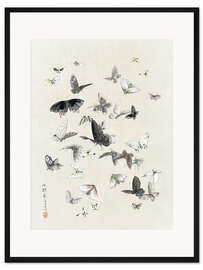 Gerahmter Kunstdruck Schmetterlinge &amp; Falter (Detail) II