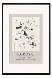 Gerahmter Kunstdruck Butterflies &amp; Moths I