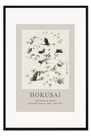 Gerahmter Kunstdruck Butterflies &amp; Moths II