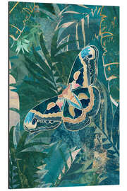 Magnettafel Schmetterling im Regenwald