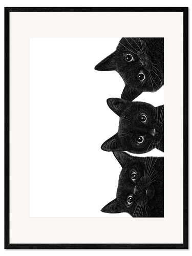 Framed art print Three Black Cats
