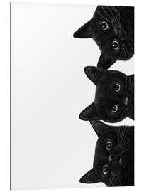 Magnettafel Drei schwarze Katzen