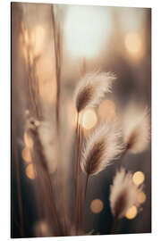 Quadro em alumínio Pampas grass - treechild