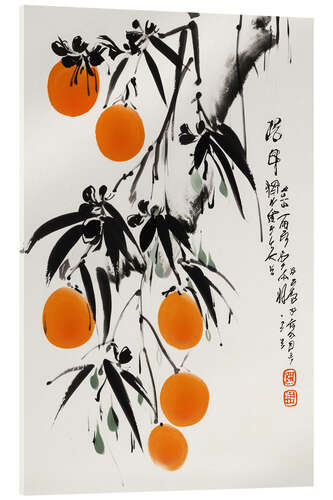 Cuadro de metacrilato Japanese Oranges