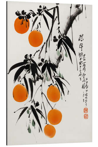 Aluminiumsbilde Japanese Oranges