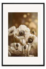 Gerahmter Kunstdruck Weißer Mohn