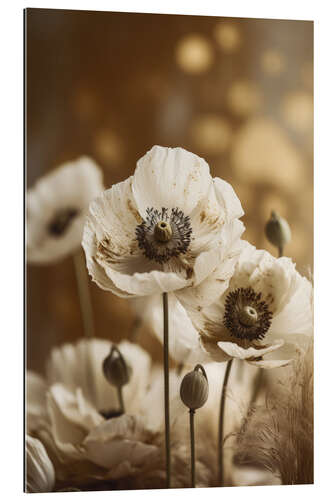 Quadro em plexi-alumínio White Poppy