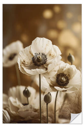 Sisustustarra White Poppy