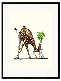 Ingelijste kunstdruk Giraffe Drinking from Toilet