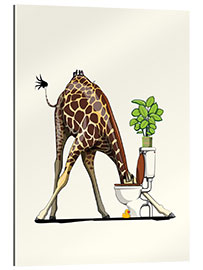 Gallery print Giraffe Drinking from Toilet