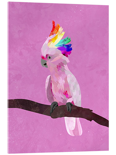 Acrylic print Pink Pride Rainbow Bird