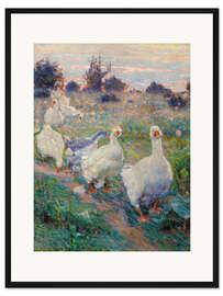 Gerahmter Kunstdruck Gänse, 1913