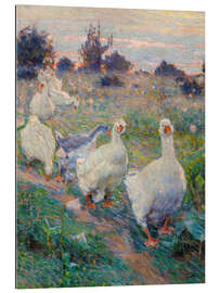 Tableau en plexi-alu Geese, 1913