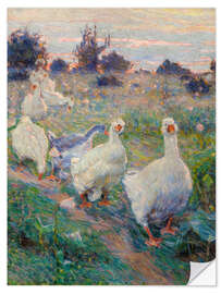 Selvklebende plakat Geese, 1913