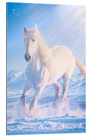 Galleriprint White horse gallops through the snow