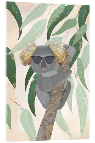 Obraz na szkle akrylowym Cool Koala