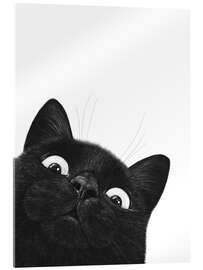 Obraz na szkle akrylowym  Funny Black Cat - Valeriya Korenkova