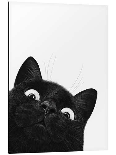 Tableau en aluminium Funny Black Cat